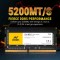 Ant Esports 690 NEO FP 16GB (1 * 16GB) DDR5 5200 MHz CL 42-42-42-84 262-PIN SO-DIMM Laptop Memory - AE16GD5S52M08C