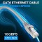 15 Meter Cat 6 Hi-Speed Ethernet LAN Cable | Waterproof Cat6 Network Internet RJ45 Patch Cable, (15m)