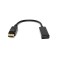 TERABYTE Male Display Port to Female HDMI Cable Converter Adapter (25cm) for Laptop, PC