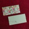 Paper Printed Matt Finish Shagun Envelopes with Tuck Flap | Gifting Sagan Cash Money, 18 X 9 cm, 10 pcs, Sky Green Color