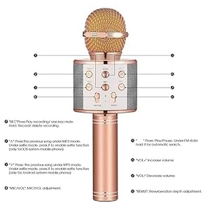 WS858Microphone