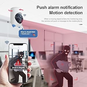 Motion Detection Camera