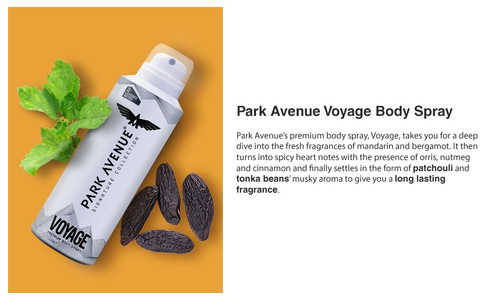 Park Avenue Voyage Premium Body Spray 150 ml