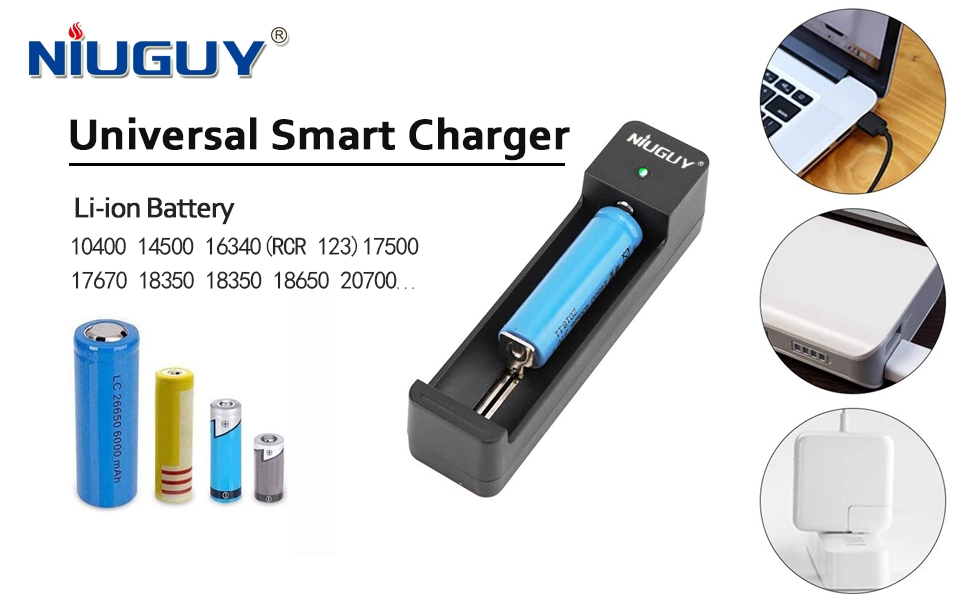 Universal Smart Charger