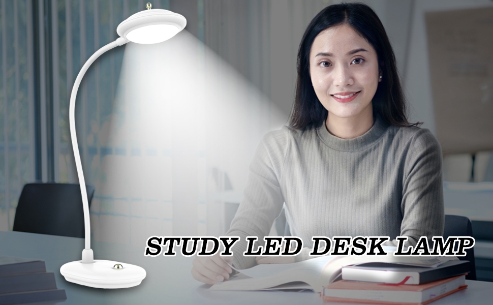 Study LED Desk Lamp