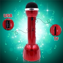 2-in1 Microphone+ USB+FM