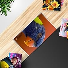 Vibrant Color Prints - Canon GI790